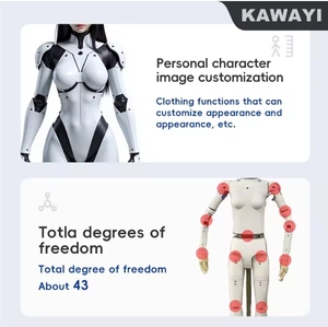 Sıcak satış OEM hükümet salonu insansı Robot AI kadın otomatik mobil resepsiyon Robot App kontrolleri insansı güzellik Robot - Product Image 4