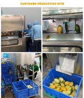 RVS Fruit & Groente Schilmachine Appel Citroen Peer Perzik Sinaasappel Persimmon Schil- en Ontvellingmachine