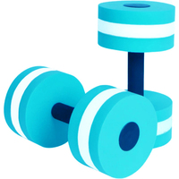 Vente en gros usine ZJFIT Q-203 Haltères aquatiques en mousse EVA pour exercices aquatiques 290g par paire, couleur et logo personnalisables, produit phare pour la natation