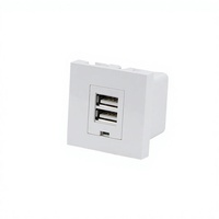 Module de chargeur USB en plastique USB-A USB-C double port certifié CE RoHS pour prise murale, hôtel, panneau de prise domestique