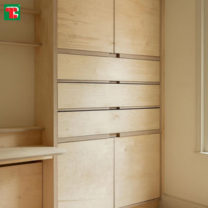 Contrachapado de abedul marino de 25 mm, grado acabado, blanco, barato, impermeable, <span class=keywords><strong>Bbb</strong></span> 18 Ddp, lámina de 3 mm, 18 mm <span class=keywords><strong>B</strong></span>/Bb, Conacaste - Product Image 1