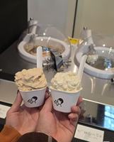 Miles GALAXY V2 MILANO Fruit IJsmachine Aanrechtmodel Gelato Commercieel Gebruik 2 Smaken 2 Jaar Garantie RVS Melk Water