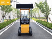 Mini-chargeuse compacte sur chenilles diesel CE EPA EURO5 pour l'agriculture et le jardinage, en stock