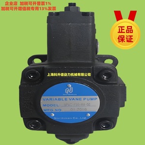 Pompe à aubes variables Northman VPVC-F30-A3-02FC en fonte, pour usage industriel - Product Image 2