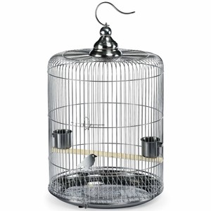 Cage à oiseaux Starling en acier inoxydable, nouveau <span class=keywords><strong>bassin</strong></span> rond - Product Image 1