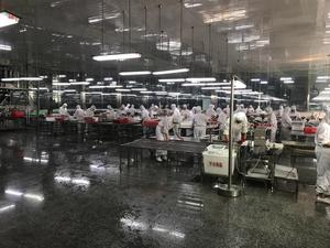 Castañas Peladas Congeladas con Certificación Halal para Suministro a Supermercados en el Medio Oriente - Product Image 4