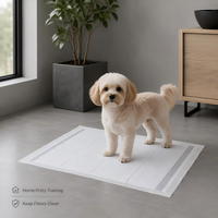 Vente en gros usine de tapis d'apprentissage jetables pour chiens en charbon de bambou et PE, anti-odeur, écologiques, imperméables et anti-fuites, pour l'entraînement des chiots