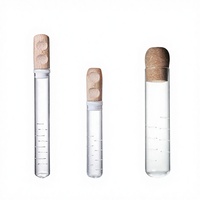 Infuseur à thé en verre borosilicate de haute qualité, forme tube, personnalisé, avec couvercle en bois