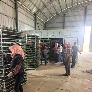 Commercial Herb Dryer Rose Stevia Leaf <b>Drying</b> <b>Equipment</b> Hibiscus Marigold Flower Green Tea <b>Drying</b> Machine - Product Image 3