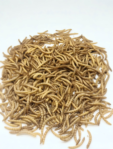 Vers de farine séchés de ferme, aliment propre, sain et nutritif <span class=keywords><strong>pour</strong></span> <span class=keywords><strong>animaux</strong></span> de compagnie, volailles et <span class=keywords><strong>animaux</strong></span> aquatiques - Product Image 3