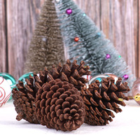 Pignons de pin naturels purs en vrac, fournitures de bricolage pour Noël, fleurs séchées, décorations de couronnes, décoration de la maison et du bureau