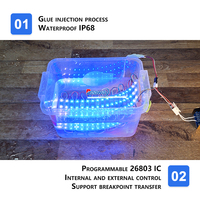Module LED RGB 12V 3 SMD3030 LED 1,2W IP68 Étanche Pixel Numérique Modules LED RGBIC Programmables pour Boîte à Lumière/Lettres Lumineuses