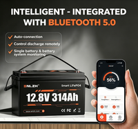 Batterie lithium-ion rechargeable Enlzh Deep Cycle 12V 314AH avec Bluetooth LiFePO4 pour camping-car avec connecteurs US EU CA AU JP DE