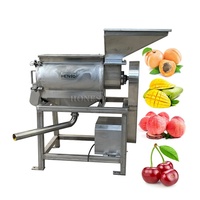 Elektrische fruitpulpmachine / Mango pulpmachine / Abrikoospulpmachine
