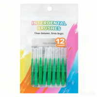 Ensemble de brosses interdentaires personnalisées de type I - Différentes tailles de poils pour un nettoyage en profondeur et des soins orthodontiques