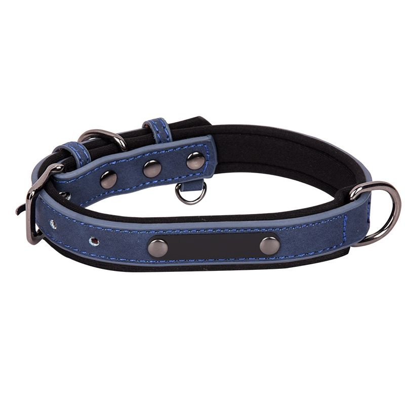 blue with logo
