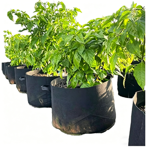 Bolsa <span class=keywords><strong>de</strong></span> Cultivo DaringFish Negra y Blanca <span class=keywords><strong>de</strong></span> Fibra Vegetal (Capacidad <span class=keywords><strong>de</strong></span> 30 Galones) para el Cultivo <span class=keywords><strong>de</strong></span> Arándanos - Product Image 1