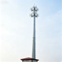 Tour Monopode de Communication Urbaine pour Antenne Cellulaire Wi-Fi, en Acier Q355B Galvanisé à Chaud, Installation Facile