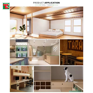 5x9 7mm hdf 5/8 3/4 <strong>2x2</strong> 8x8 1 4 410 5mm 9mm 4mm 2mm 3mm 6mm 1mm osb mdf 4x8 e0 58 15 12 18 3m 5m 34 3 commercia plywood - Product Image 6