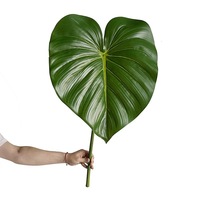 Tanaman Philodendron Buatan dengan Daun Besar yang Realistis, Daun Pisang, Dekorasi Ruang Tamu Sederhana, Tanaman Hijau