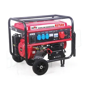 Bison Manufacture 110V 220V Single Phrase 60Hz Ats Power 6.0KW 6.5KW Gasoline Generator With European Socket