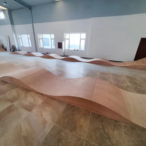 Ensemble de rampes de pratique de Skateboard Portable, parc de Skateboard, rampe de <span class=keywords><strong>Skate</strong></span>, Rail de broyage, parc de Skateboard pour débutants - Product Image 1