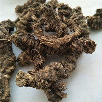 Xie cao gen toptan kurutulmuş valeriana officinalis kök valerian kökleri