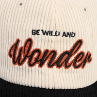 Gorra de Béisbol de Pana de 5 Paneles Unisex de Alta Calidad al Por Mayor Personalizada BSCI OEM de Estilo Vintage con Logotipo Bordado Curvo para Hombre y Mujer