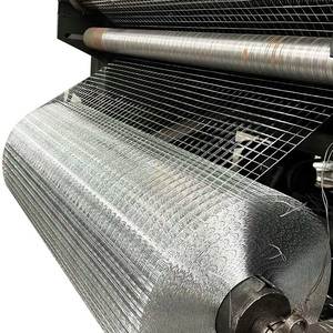 Chất lượng cao 50x50 50x100 <span class=keywords><strong>100x100</strong></span> 25m mỗi cuộn mạ kẽm hàn dây lưới cho gà Coop vegrtables vườn - Product Image 6