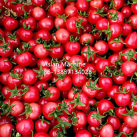 Machine d'enlèvement de tige de tomate cerise Machine d'enlèvement de tige de tomate fruit