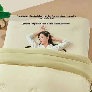 Parure de lit personnalisée Parure de lit très épaisse Couette d'hiver avec rembourrage en microfibre Ensemble de draps de lit en polyester de couleur - Product Image 3