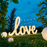 LZG Enseignes LED Extérieures Personnalisées pour Entreprises de Publicité, Décoration de Mariage, Lettres Lumineuses « Marry Me » 3ft 4ft, Étanche IP65, Garantie 3 Ans