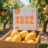 Caixas de Presente Personalizadas Premium para Papaya com Alça Plástica, Caixas de Papelão Branco Corrugado Impressas para Envio de Papaya Fresca