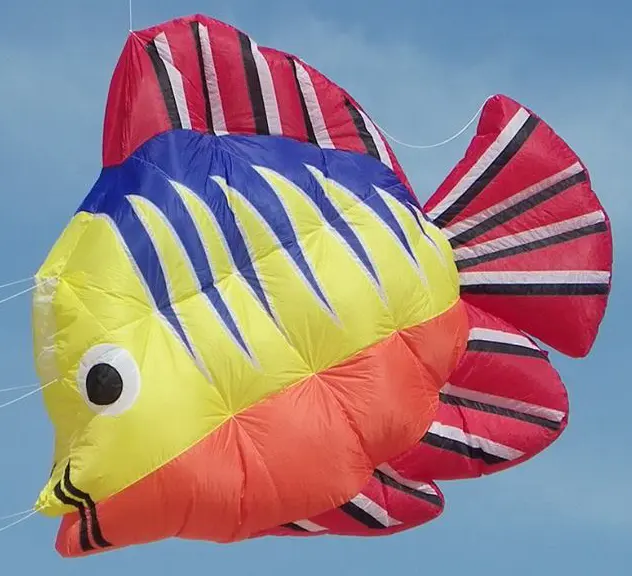 3D opblaasbare goudvis kite