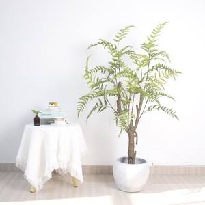 <span class=keywords><strong>ต้นไม้</strong></span>ประดิษฐ์ ใบเฟิร์นพลาสติก หญ้าเปอร์เซีย เป็นมิตรกับสิ่งแวดล้อม สมจริงสูง ตกแต่งบ้านและสวนในร่ม - Product Image 3