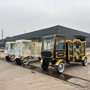 รถศพไฟฟ้าสีขาวดำคุณภาพดีที่สุด พร้อมโลงศพสำหรับขาย รถม้าศพ - Product Image 6