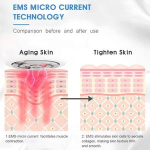 Aparato de masaje estético eléctrico marrón SUNMAS, masajeador de belleza EMS para Lifting <span class=keywords><strong>Facial</strong></span>, estiramiento de la piel, eliminación de arrugas - Product Image 5