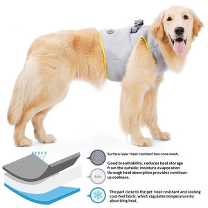 Sangle de poitrine rafraîchissante en maille pour chien, personnalisée, pour la prévention des coups de chaleur estivaux, <span class=keywords><strong>gilet</strong></span> <span class=keywords><strong>rafraîchissant</strong></span> - Product Image 2