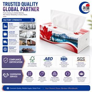 <span class=keywords><strong>Mouchoirs</strong></span> en papier 4 plis avec motif festonné en relief, imprimé feuille d'érable et skyline du Canada, paquet souple - Product Image 5