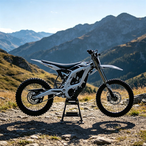 Moteur Surron Light 2 32Hp optimisé pour la performance, couple de roue de 410 Nm, moto de course professionnelle, puissance et performance 24kW Mid-Dr - Product Image 6