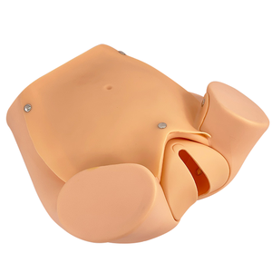 Simulador de Parto para Entrenamiento Integral en Habilidades de Parto, Modelo Anatómico de <span class=keywords><strong>Ginecología</strong></span> <span class=keywords><strong>y</strong></span> <span class=keywords><strong>Obstetricia</strong></span>, Enseñanza de Partería - Product Image 5