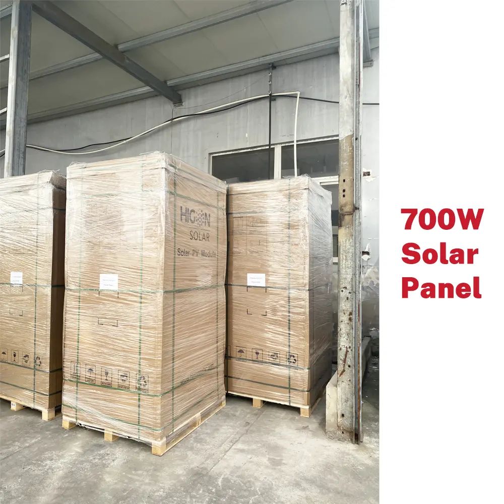 Higon 새로운 700W 상업용 양방향 태양 전지 패널 680W Pv 모듈 유리 유리 Eu 재고