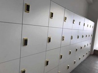 Casier de rangement pour salle de sport avec serrure numérique, mot de passe réinitialisable automatiquement, utilisation partagée, vente en gros, livraison rapide