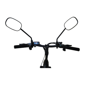 Vélo électrique urbain pour <span class=keywords><strong>femme</strong></span> à <span class=keywords><strong>cadre</strong></span> <span class=keywords><strong>bas</strong></span> avec moteur à moyeu arrière, batterie au lithium, rétroviseur et selle à <span class=keywords><strong>cadre</strong></span> en fer montée à l'arrière - Product Image 2