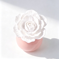 Diffuseur de parfum d'ambiance en céramique 100 ml, fait main, en porcelaine, avec fleurs, parfum d'ambiance, plâtre aromatique, désodorisant, diffuseur à bâtonnets d'huiles essentielles