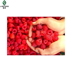 Giá tốt nhất iqf đông lạnh <span class=keywords><strong>Raspberry</strong></span> trái cây Trung Quốc Chất lượng xuất khẩu với hương vị ngọt ngào toàn bộ mô hình bảo quản Syrup bao bì số lượng lớn - Product Image 2