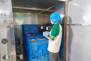 <span class=keywords><strong>Fil</strong></span> <span class=keywords><strong>dentaire</strong></span> en bambou naturel avec cire de candelilla, biodégradable et <span class=keywords><strong>compostable</strong></span> - Product Image 4