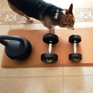 แผ่นรองครัวกันลื่นแบบใหม่ ป้องกันความเมื่อยล้า พื้นผิว PVC ทนต่อคราบสกปรก เหมาะสำหรับสัตว์เลี้ยง - Product Image 6