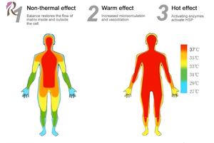 Ev Diathermy fizyoterapi akıllı Tecar terapi vücut spor yaralanma ağrı kesici Tecar cihazı profesyonel orijinal üretici - Product Image 3
