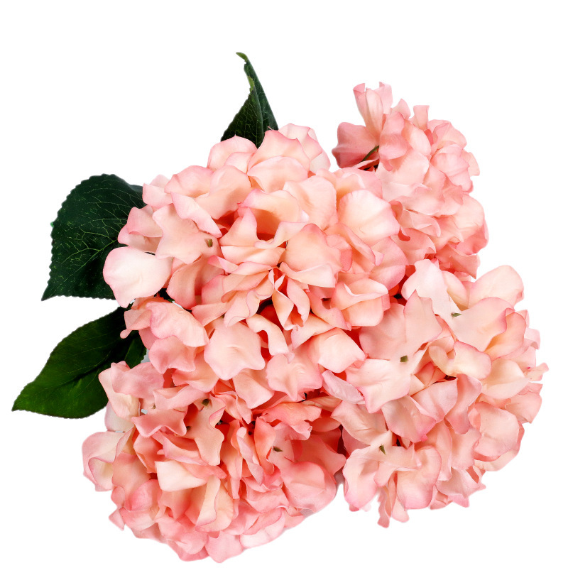 Hydrangée rose, peinture à l'huile, 5 branches